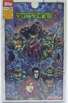 2019 Topps The Art of TMNT Hobby Box