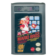 NES 1989 Super Mario Bros French VGA 75 (#MW10)
